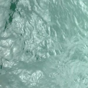 Meet your Posher, Wayne